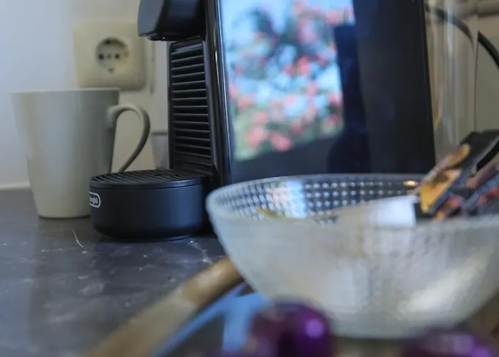 Zentral - Gemuetlich - Kueche - Balkon - Garage Appartement *